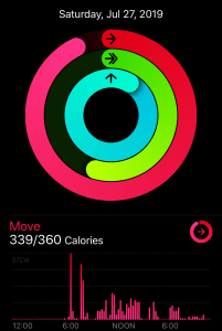 20190728_195448376_iOS